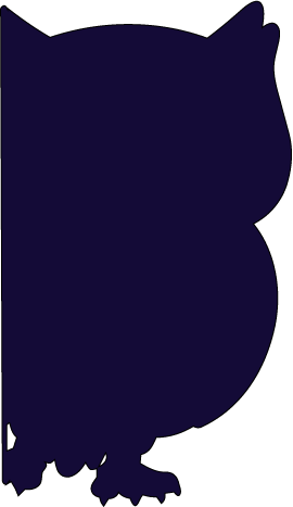 Owl Body